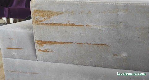 Elit Buharlı Koltuk Yıkama Adıyaman