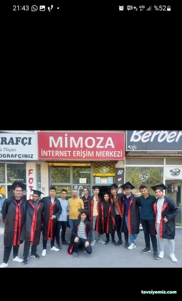 Mimoza İnternet