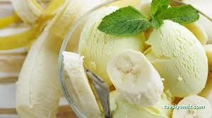 Gümüşhane Özen Dondurma