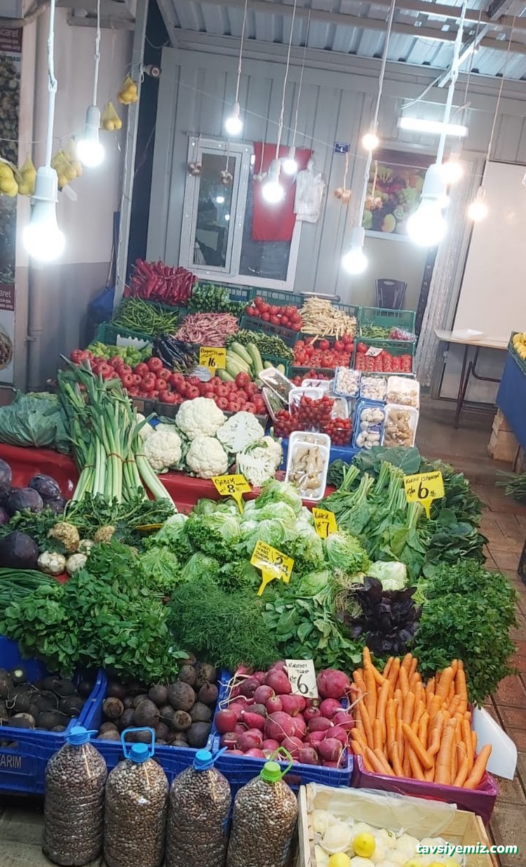 Yeşilyurt Mh. Fevzi Paşa Cd, 17 Ağustos, Fay Hattı Bulvarı No:4, 41190 Başiskele/Kocaeli