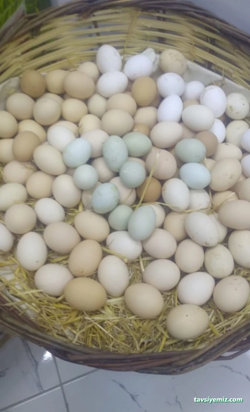 Bay-Et Bayburt Kasap Ve Şarküteri