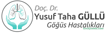 Doç. Dr. Yusuf Taha Güllü