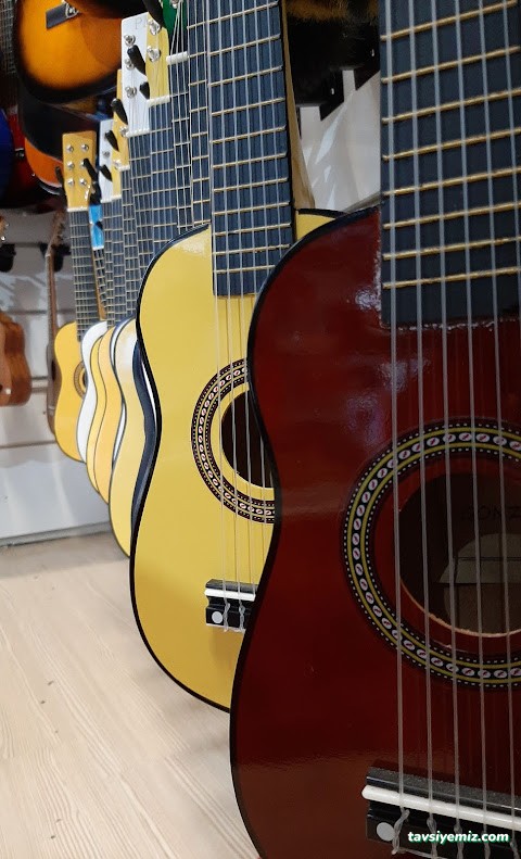 Mert Müzik Sanat Merkezi