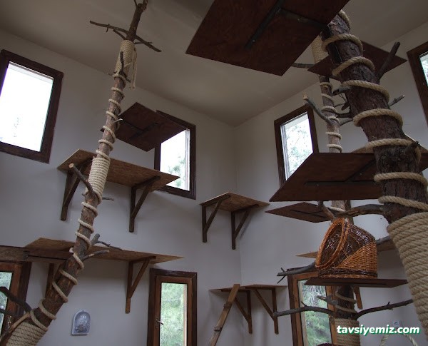 Osmangazi Belediyesi Sahipsiz Hayvanlar Doğal Yaşam Merkezi