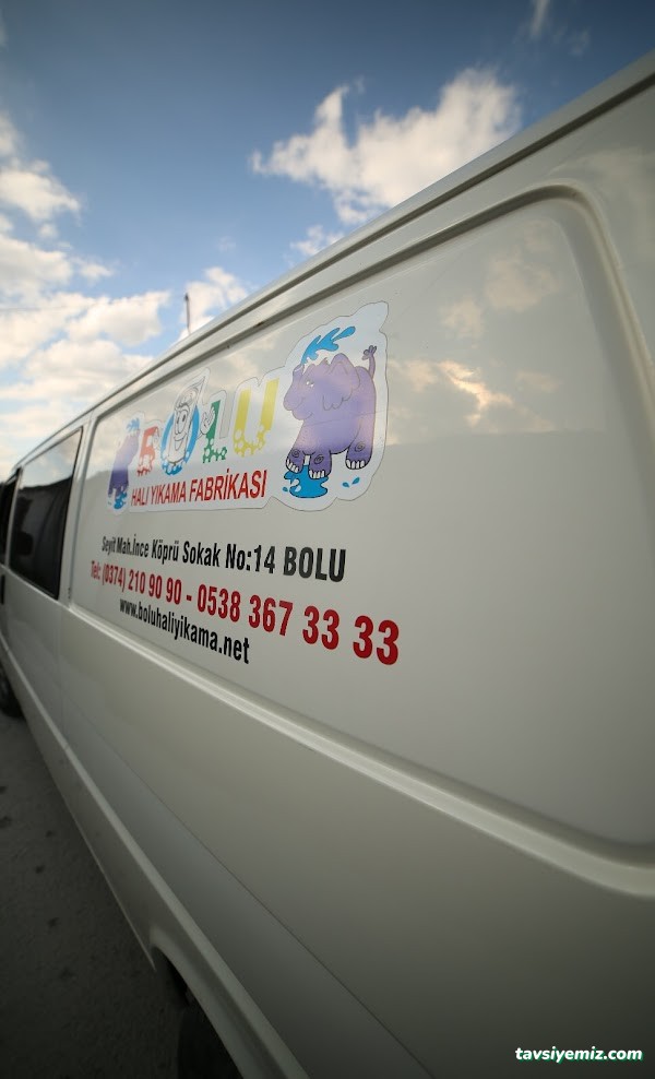 Bolu Halı Yıkama Fabrikası