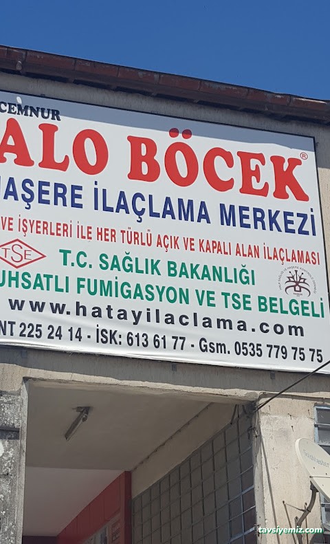 Hatay Alo Böcek İlaclama Ve Dezenfeksiyon