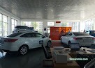 Zafer Motorlu Araçlar Ford Plaza