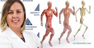 Prof.dr. Aslı Çurgunlu