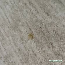 Çorum Bıcı Bıcı Halı Yıkama