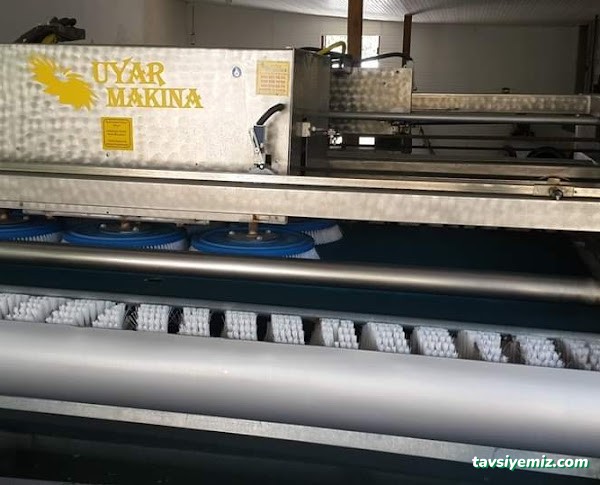 Expert Muğla Halı Yıkama