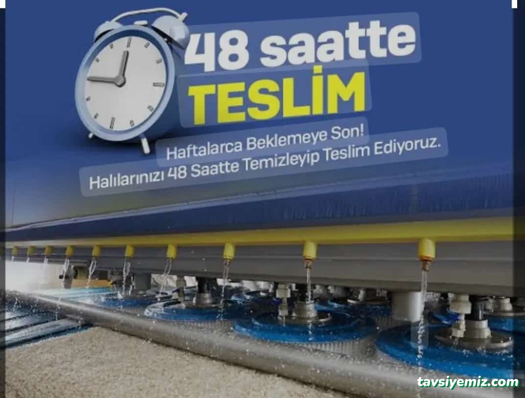 Akalın Halı Yıkama