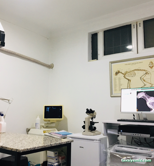 Vet Plus Veteriner Polikliniği 7/24