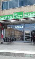 Yaprak Pastanesi