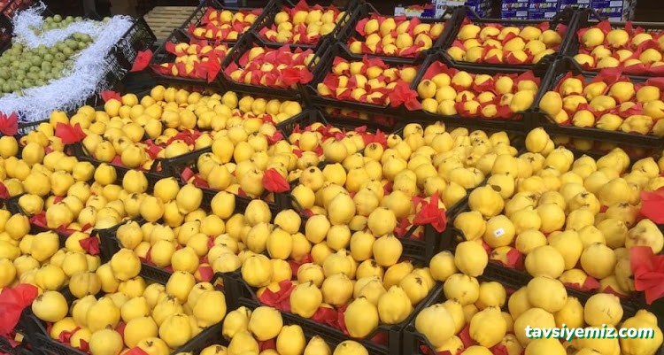 Manav Ünal Çankırı