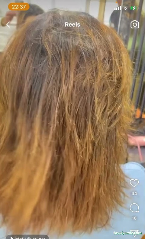 Elit Bayan Kuaförü