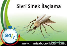 Manisa Böcek İlaçlama