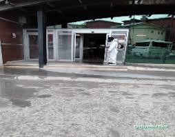 Lavanta İlaçlama (Hakkari Böcek İlaçlama)