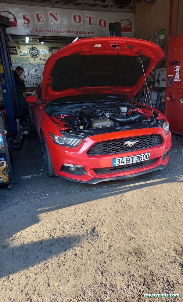 Şen Oto Tamir Bakım