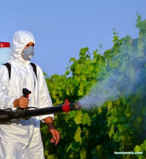 Sakarya Haşere İlaçlama | Sakarya Karınca Böcek Haşere İlaçlama