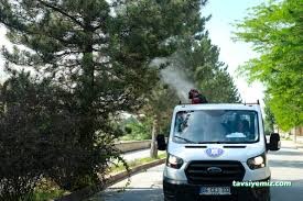 Kütahya İlaçlamagüven İlaçlama