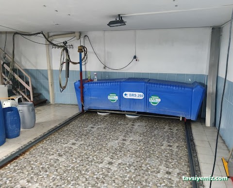 Erzincan Saray Halı Yıkama