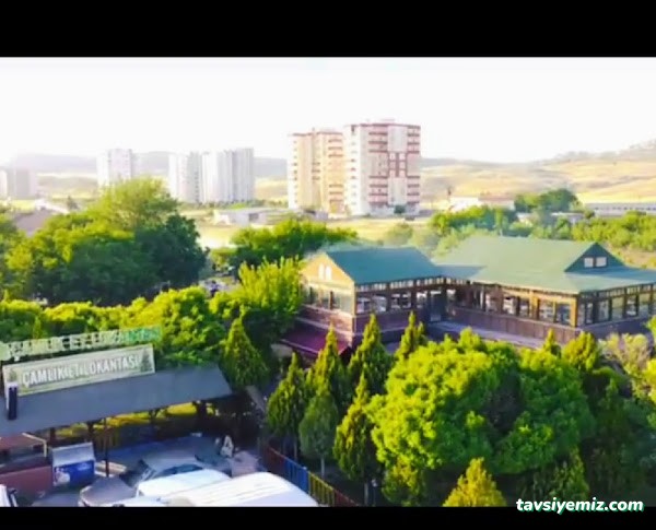 Çamlık Kır Bahçesi