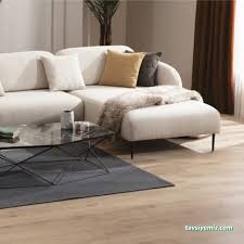 Baskent Hali Mobilya