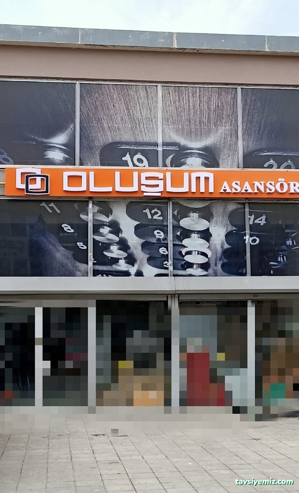 Oluşum Asansör