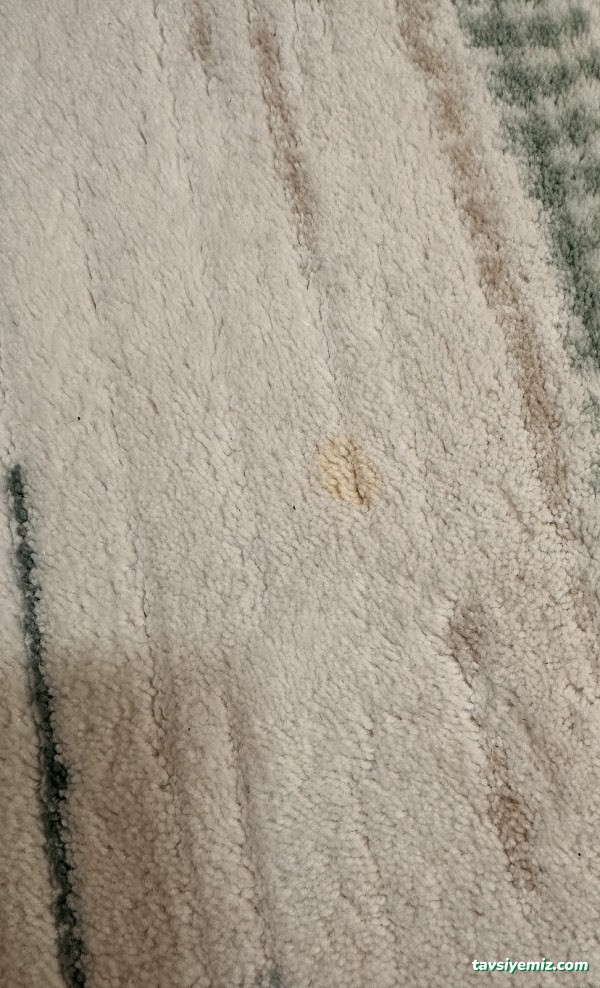 Bolu Halı Yıkama Fabrikası