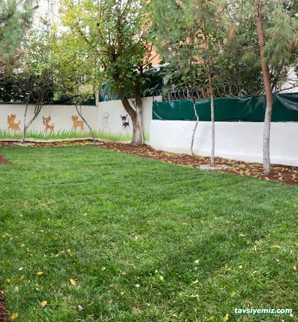 Keyifli Patim | Köpek Oteli | Köpek Pansiyonu | Pet Otel