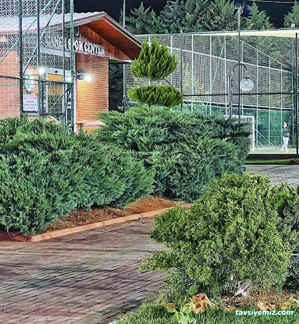 Caner Spor Center Caner Halı Saha