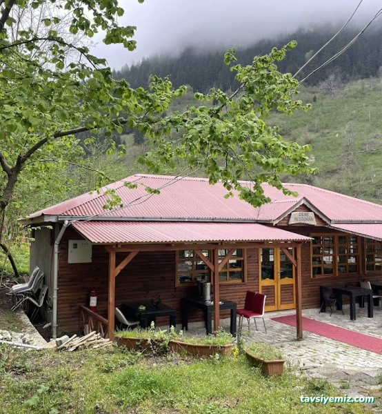 Borçka Dere Pansiyon / Restoran