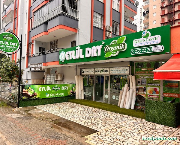 Adana Eylül Dry Kuru Temizleme Ve Halı Koltuk Yıkama