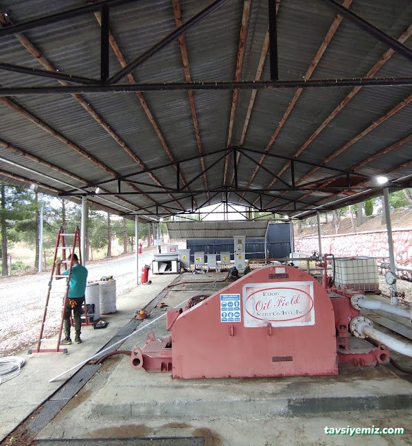 Tekin Elektrik Ve Avize