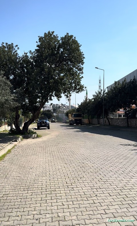 Bodrum Koltuk Yıkama