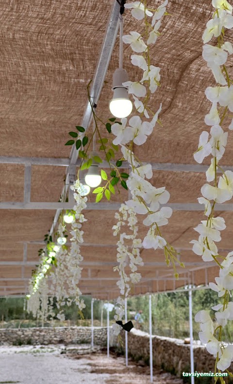 Havin Kır Düğün Evi