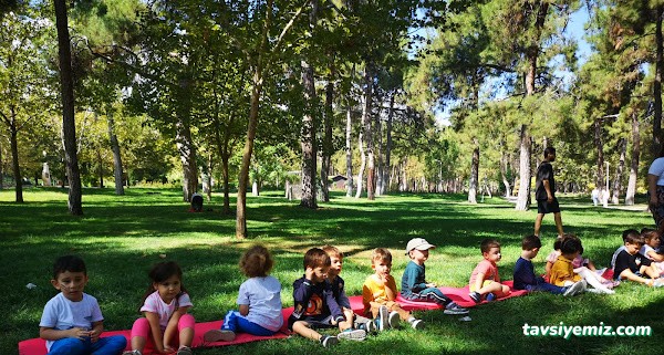 Rengarenk Kreş Ve Anaokulu