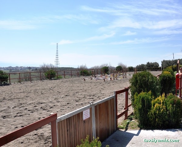 Osmangazi Belediyesi Sahipsiz Hayvanlar Doğal Yaşam Merkezi