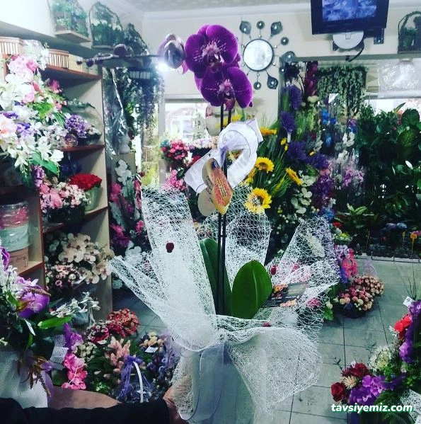 4 Mevsim Çiçekçilik