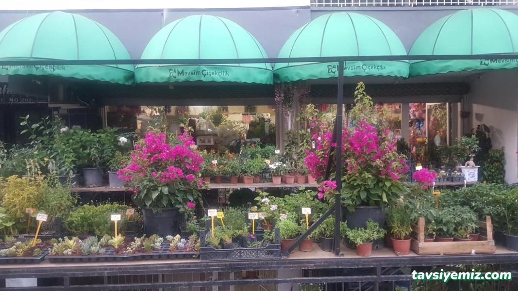 4 Mevsim Çiçekçilik