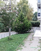 Bartın Güzelce Pansiyon & Konaklama