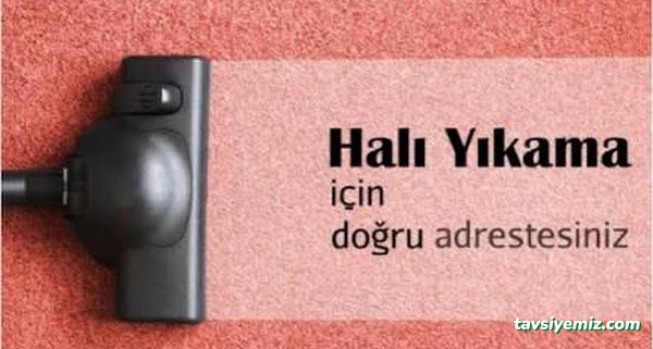 Malatya Başkent Halı Yıkama