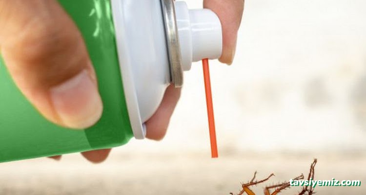 Pest Life Böcek İlaç Ve İlaçlama