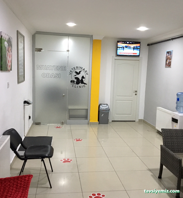 Vet Plus Veteriner Polikliniği 7/24