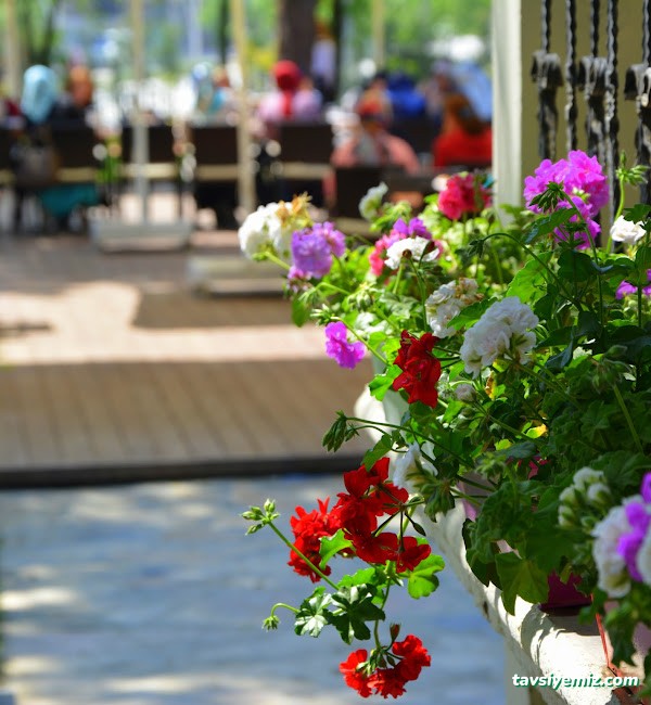 Koruköy Restoran & Kafe - Kır Düğünü