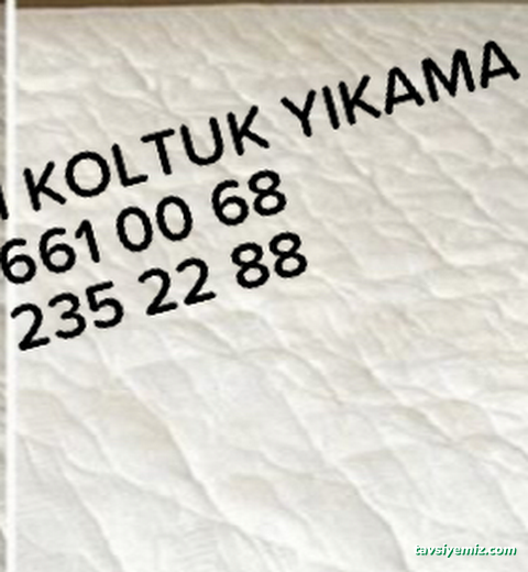 Aksaray Hanımeli Halı Yıkama