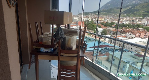 Manisa Güntekin Temizlik Hizmetleri