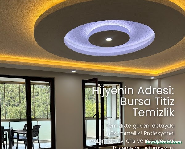 Bursa Titiz Temizlik