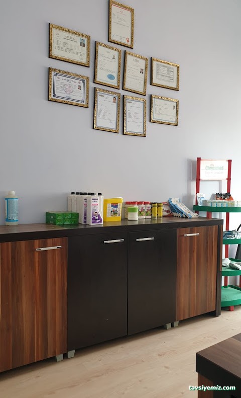 Uşak Doğa Ilaçlama Ve Dezenfeksiyon Hizmetleri