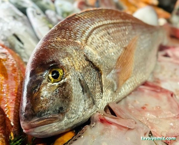 Mersin İskele Restaurant